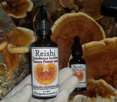 tintura hongos reishi medicinal